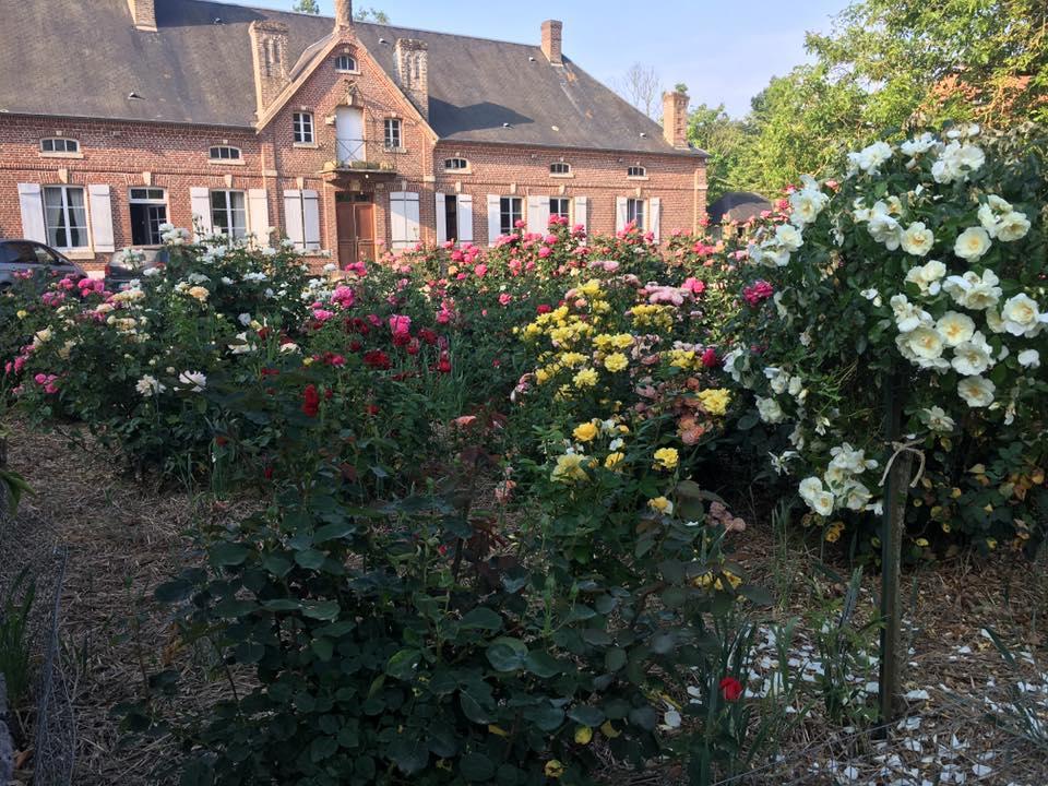 Bernay-en-Ponthieu Domaine Des Celestins B&B 외부 사진